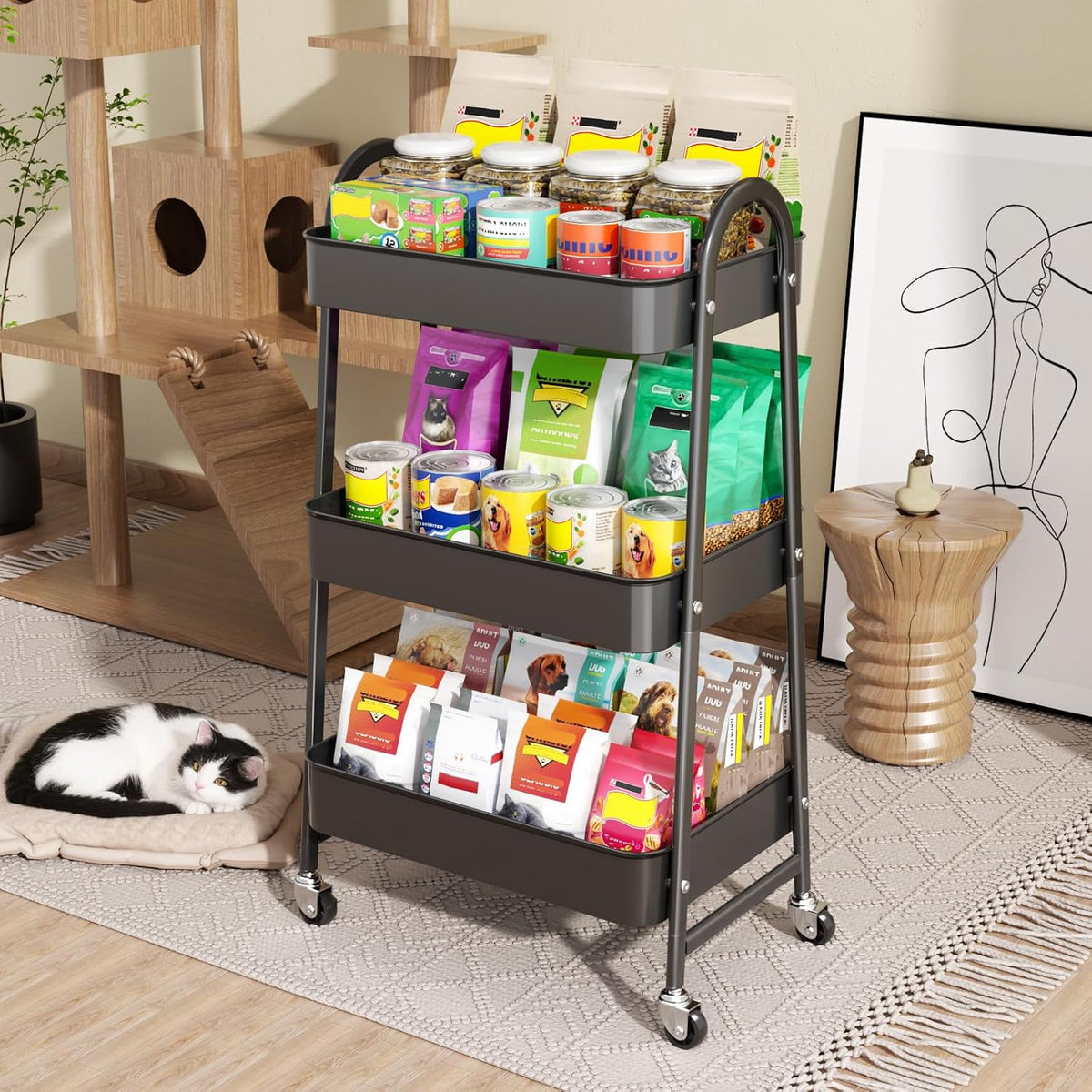 Chariot De Rangement I Structure Stable Et Robuste