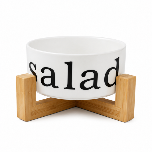 Bol à Salade Moderne I Support en Bambou