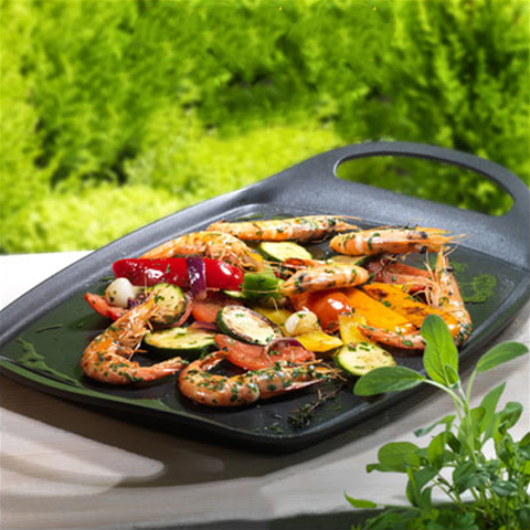 PLAQUE GRILL METALLIC LINE