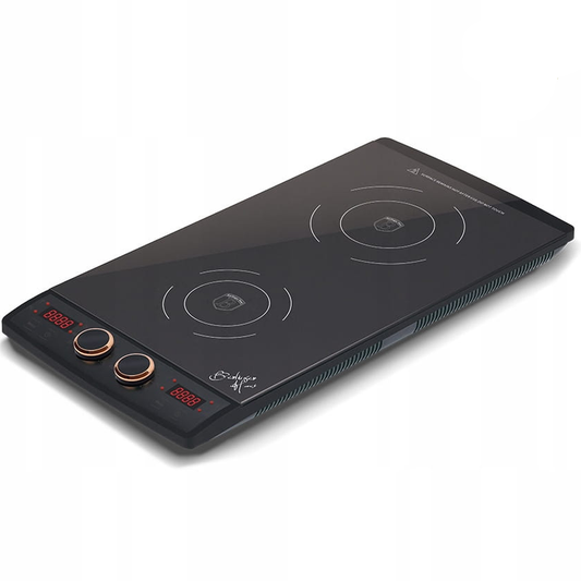 DOUBLE INDUCTION MINIMALISTE DPRO