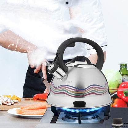 BOUILLOIRE SIFFLANTE 3L